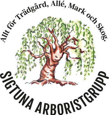 Sigtuna Arboristgrupp