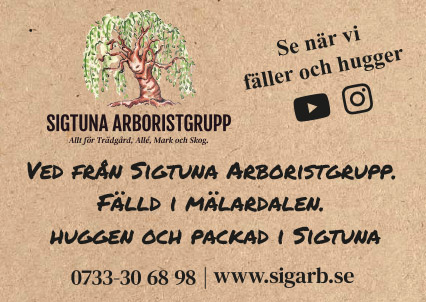 Ved från Sigtuna Arboristgrupp